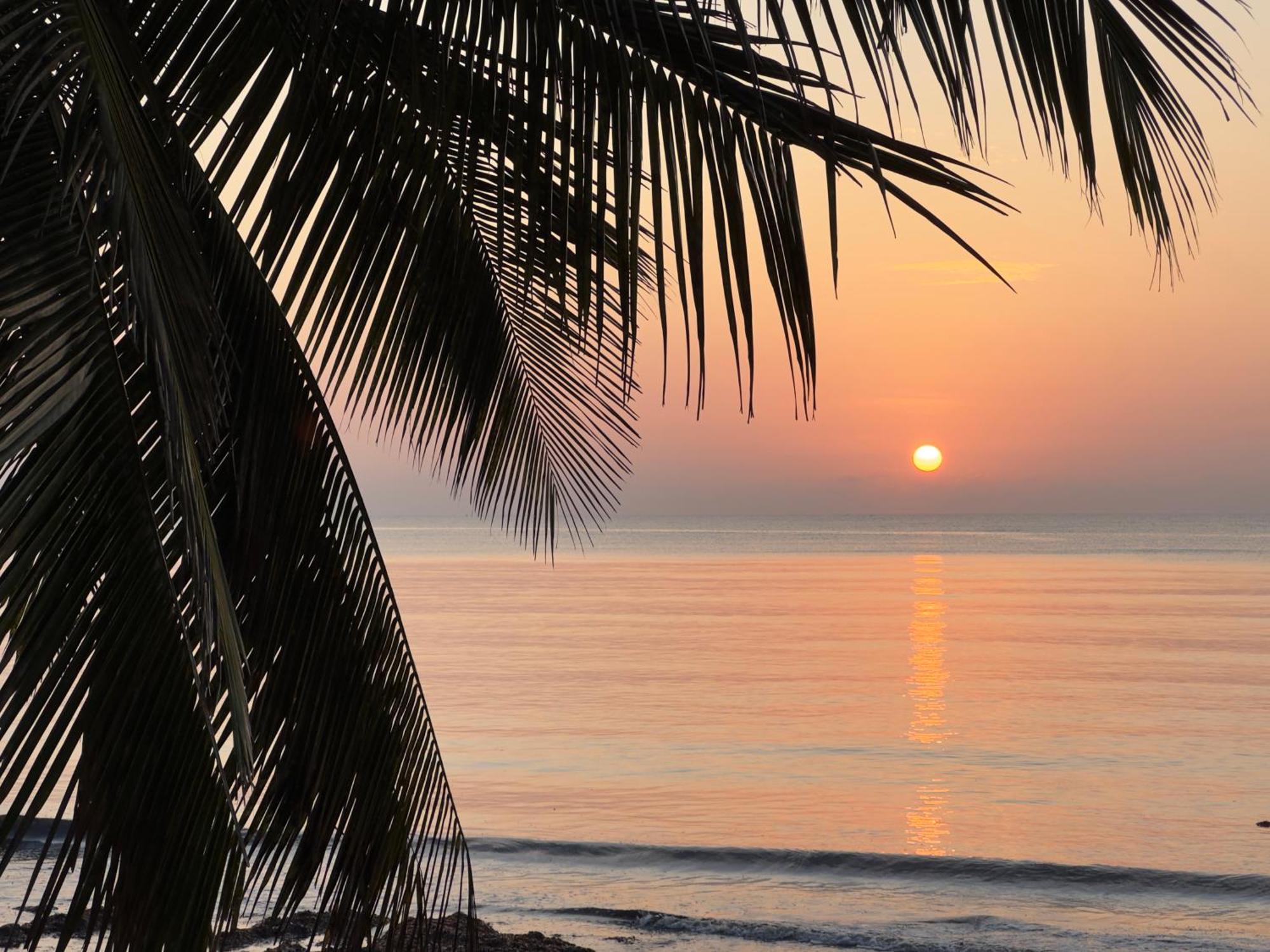 Sawa Sawa Beach House Msambweni エクステリア 写真
