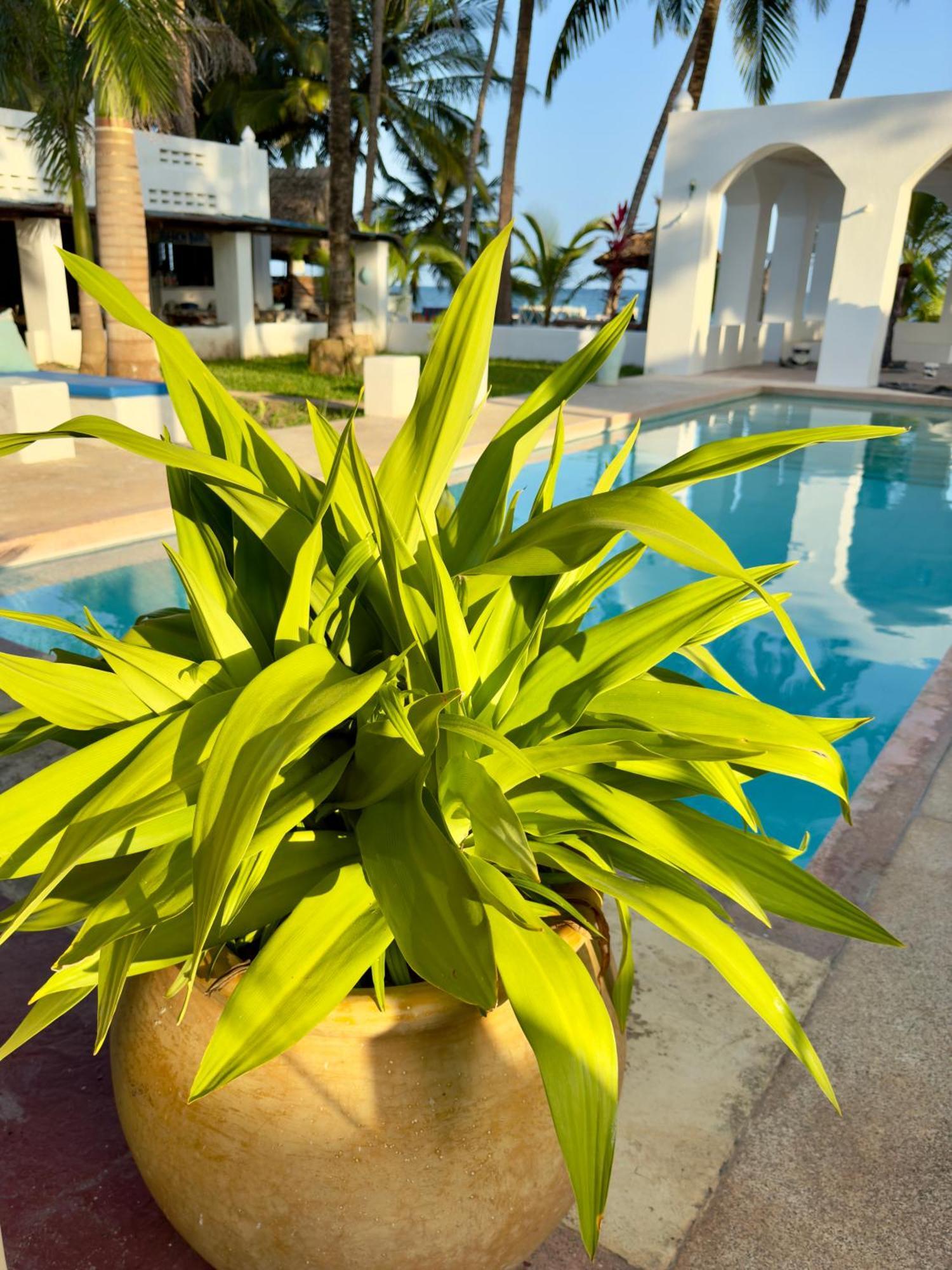 Sawa Sawa Beach House Msambweni エクステリア 写真