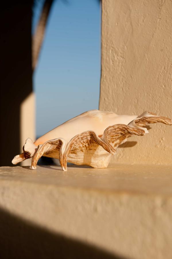 Sawa Sawa Beach House Msambweni エクステリア 写真